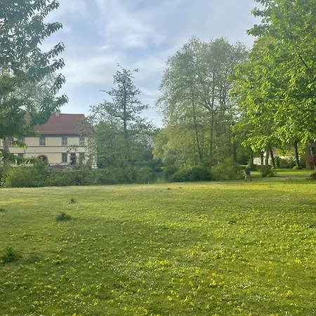 Single - Herne, Schloss Struenkede 헤르네